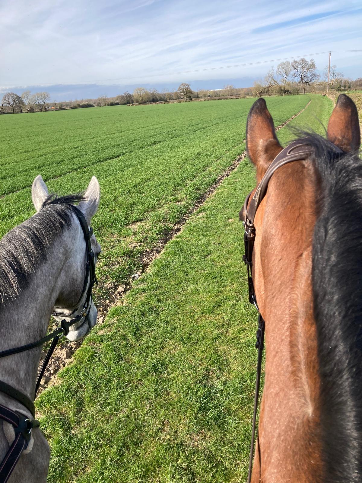 Expansive Farm Ride