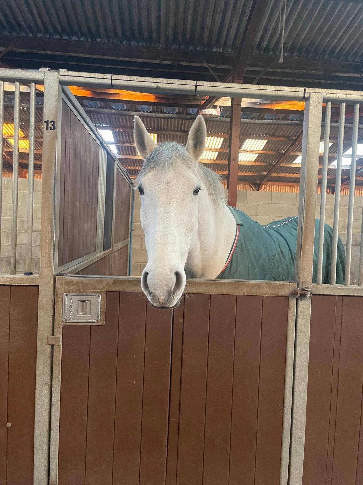 Spacious Indoor Stables